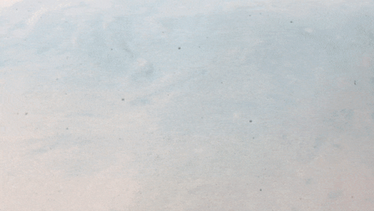 VISCO MEMORY/GEL 8″ MATTRESS