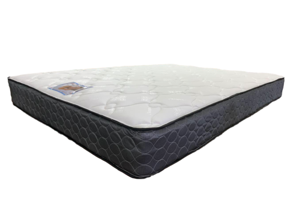 PROMO MEDIUM FEEL 8 1/2″ MATTRESS - The Mattress Plug